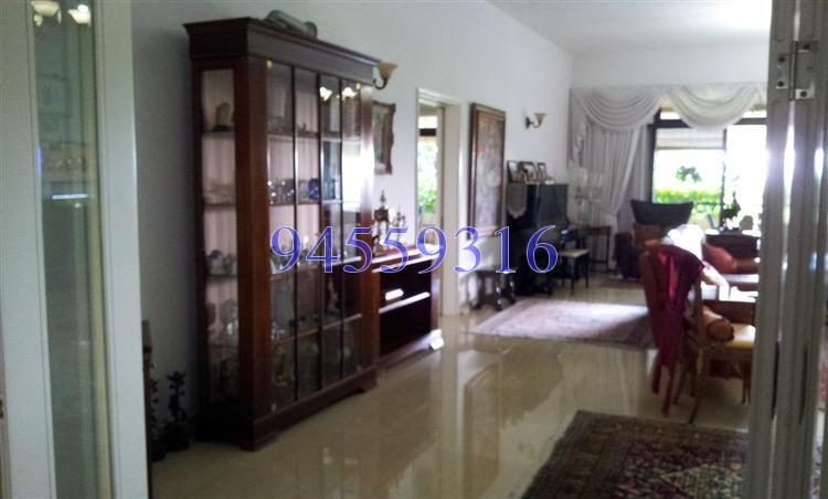 The Arcadia (D11), Condominium #138962512